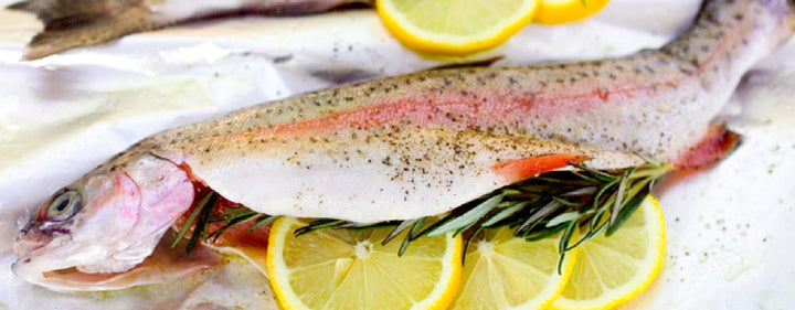 Why You Should NEVER Eat Farm-Raised Fish